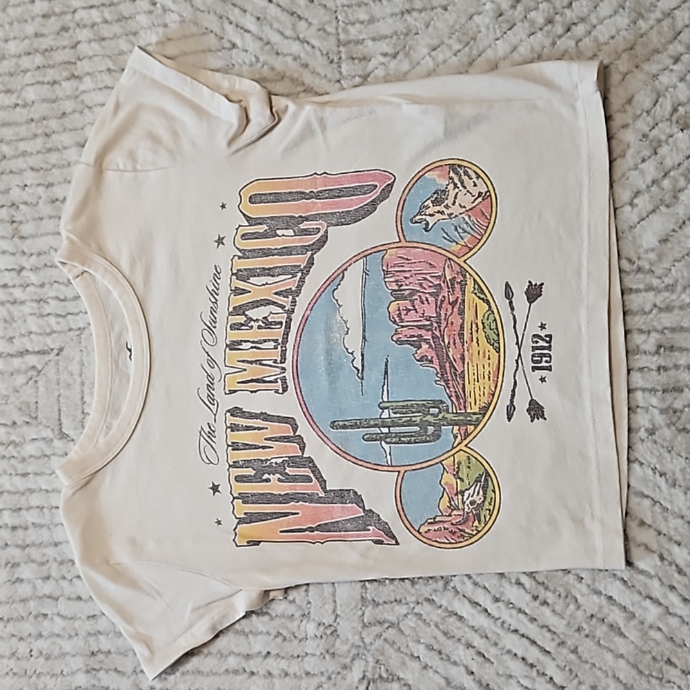 Hollister t-shirt